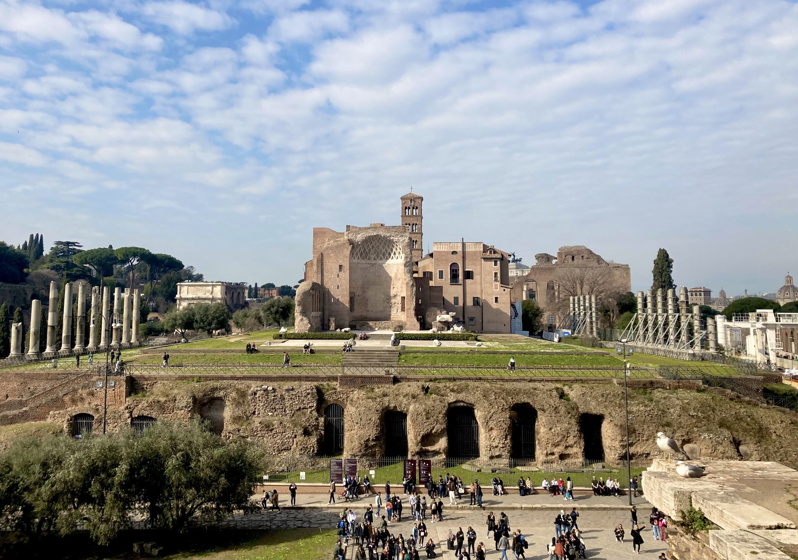 Palatino-Tempio Venere e Roma - Art Club - Associazione culturale - Visite guidate a Roma - Esperienze di Arte - Marzo - 2022